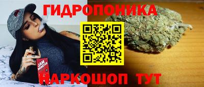 наркотики Гатчина