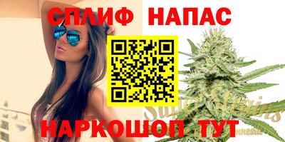 кокс Гай