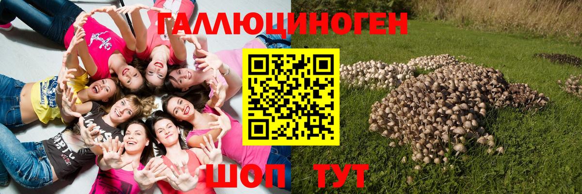 Псилоцибиновые грибы мухоморы  Галлюциногенные грибы Magic Shrooms  Вход с VPN  Гусев 